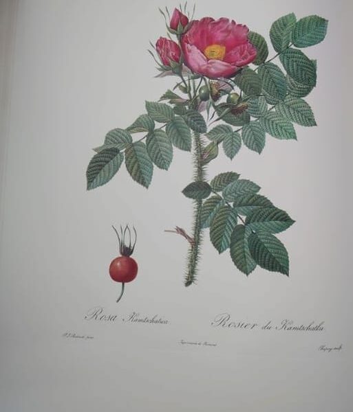 Image du produit suivant