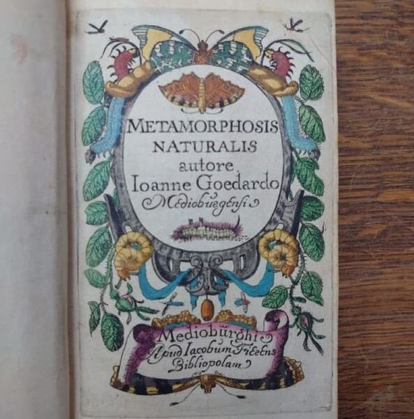 Image du produit précédent